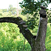 twowrap > Ellicott City Stacking Stones photo