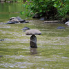 twowrap > Ellicott City Stacking Stones photo