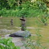 twowrap > Ellicott City Stacking Stones photo