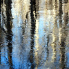 twowrap > Natural Reflections photo