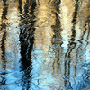 twowrap > Natural Reflections photo