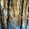 twowrap > Natural Reflections photo
