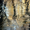twowrap > Natural Reflections photo