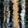 twowrap > Natural Reflections photo