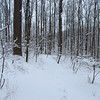 twowrap > Snow Day! photo