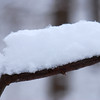twowrap > Snow Day! photo