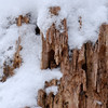 twowrap > Snow Day! photo