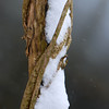 twowrap > Snow Day! photo