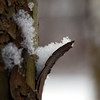 twowrap > Snow and Ice photo